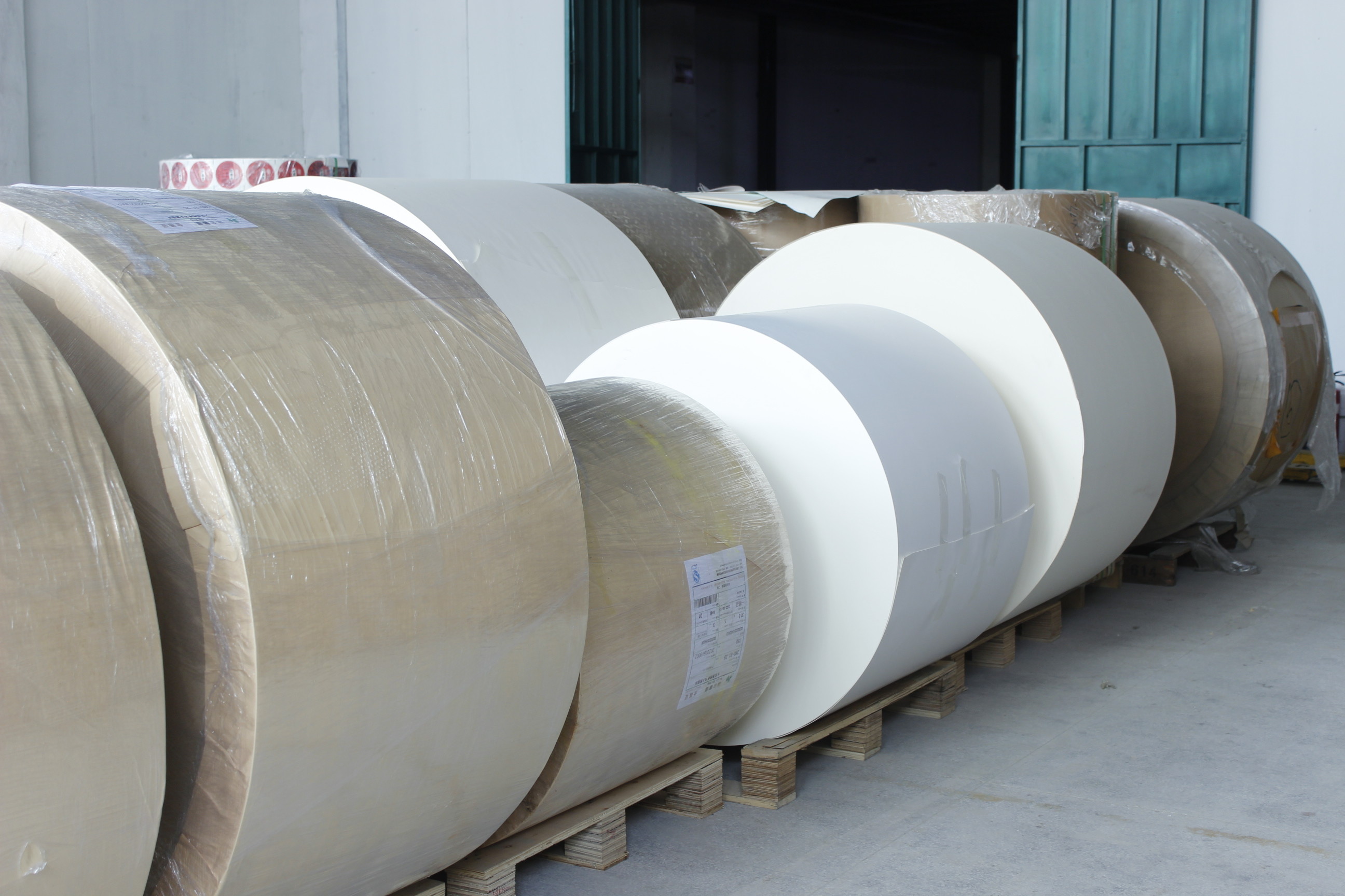 Китай Guangzhou Victory Paper Products Co., Ltd. Профиль компании