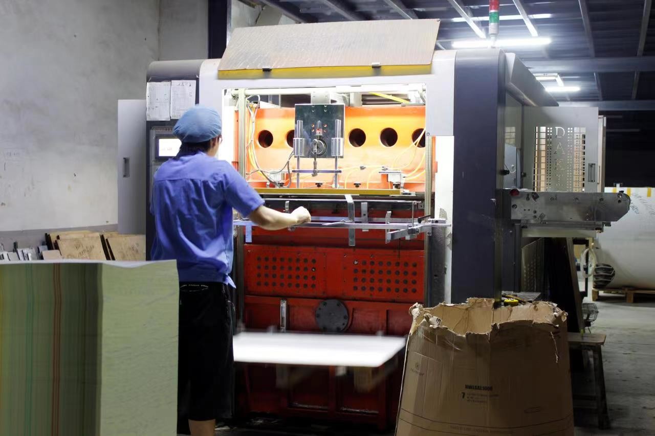 Китай Guangzhou Victory Paper Products Co., Ltd. Профиль компании